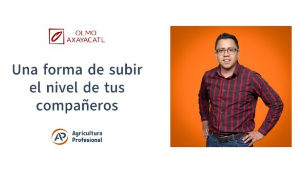 Una forma de subir el nivel de tus compañeros