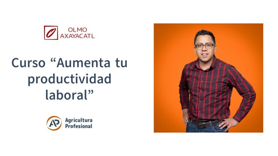Aumenta tu productividad laboral
